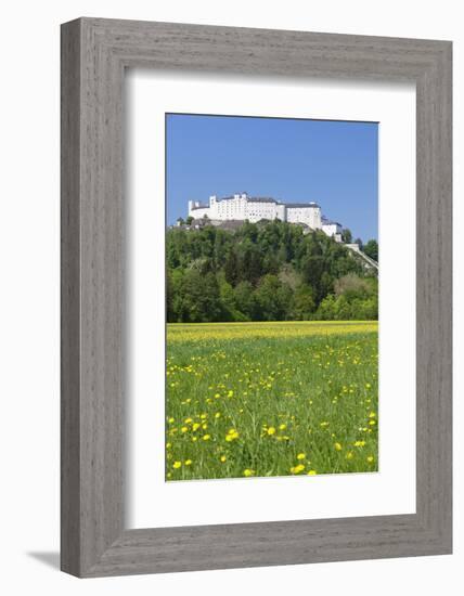 Hohensalzburg Fortress, Salzburg, Salzburger Land, Austria, Europe-Markus Lange-Framed Photographic Print