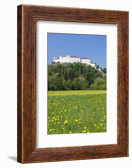 Hohensalzburg Fortress, Salzburg, Salzburger Land, Austria, Europe-Markus Lange-Framed Photographic Print