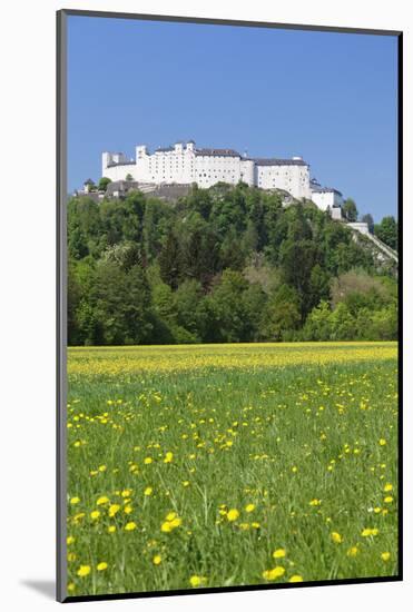 Hohensalzburg Fortress, Salzburg, Salzburger Land, Austria, Europe-Markus Lange-Mounted Photographic Print