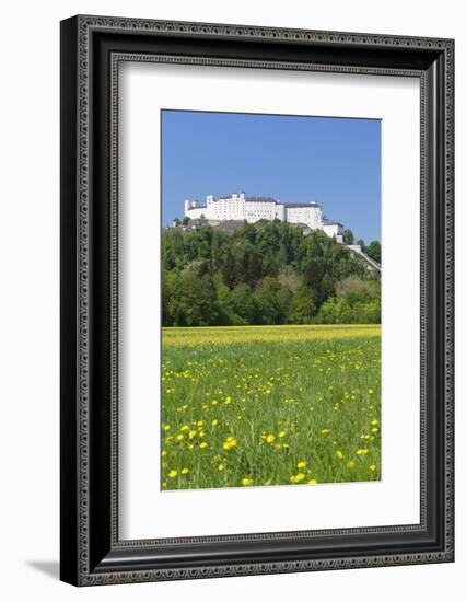 Hohensalzburg Fortress, Salzburg, Salzburger Land, Austria, Europe-Markus Lange-Framed Photographic Print