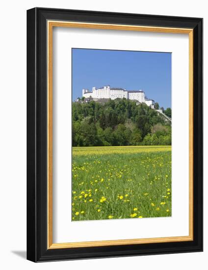 Hohensalzburg Fortress, Salzburg, Salzburger Land, Austria, Europe-Markus Lange-Framed Photographic Print