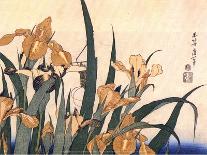 Poppies, late 1820's-Hokusai Hokusai-Framed Art Print