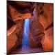 Premium Photographic Print