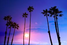 California High Palm Trees Purple Sunset Sky Silhouette Background USA-holbox-Photographic Print