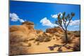 Premium Photographic Print