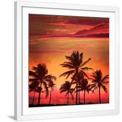 Miami Beach South Beach Sunset Palm Trees in Ocean Drive Florida