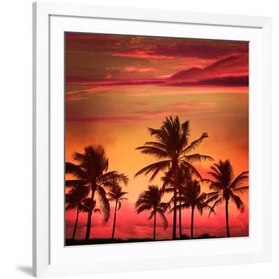 Miami Beach South Beach Sunset Palm Trees in Ocean Drive Florida