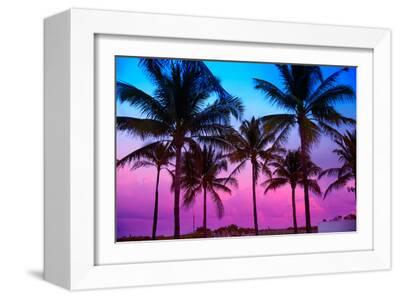 Miami Beach South Beach Sunset Palm Trees in Ocean Drive Florida