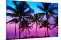 Photographic Print