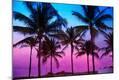 Photographic Print