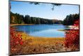 Photographic Print