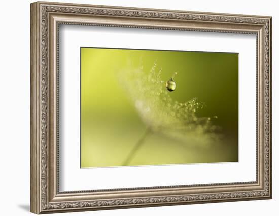 Hold on !-Heidi Westum-Framed Photographic Print