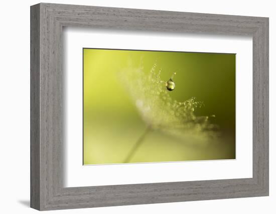 Hold on !-Heidi Westum-Framed Photographic Print