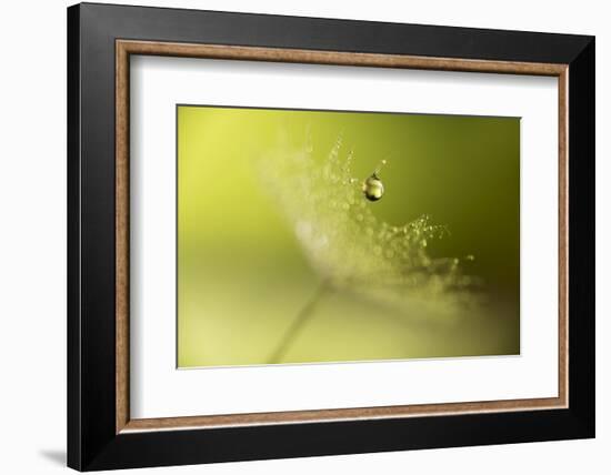 Hold on !-Heidi Westum-Framed Photographic Print