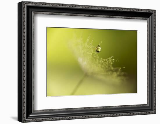 Hold on !-Heidi Westum-Framed Photographic Print