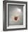 Holding Hands-Danny Hahlbohm-Framed Art Print