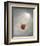 Holding Hands-Danny Hahlbohm-Framed Art Print