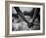 Holding Hands-Kevin Lange-Framed Photographic Print