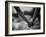 Holding Hands-Kevin Lange-Framed Photographic Print