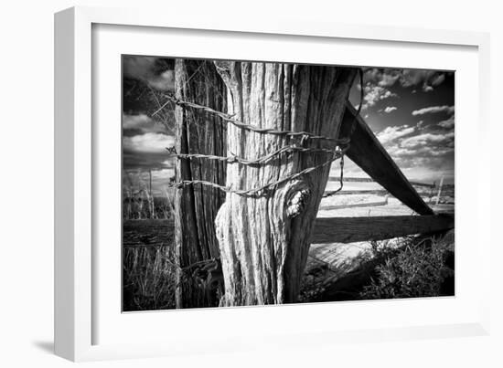 Holding Strong-Dan Ballard-Framed Photographic Print