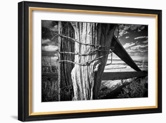 Holding Strong-Dan Ballard-Framed Photographic Print