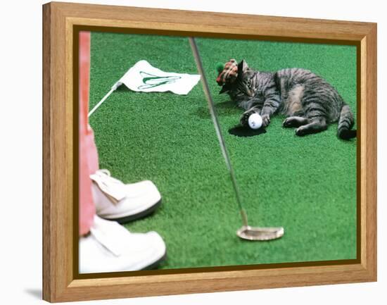 Hole in One-null-Framed Premier Image Canvas