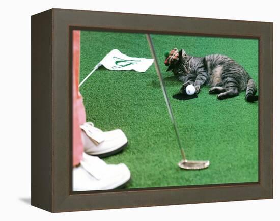 Hole in One-null-Framed Premier Image Canvas