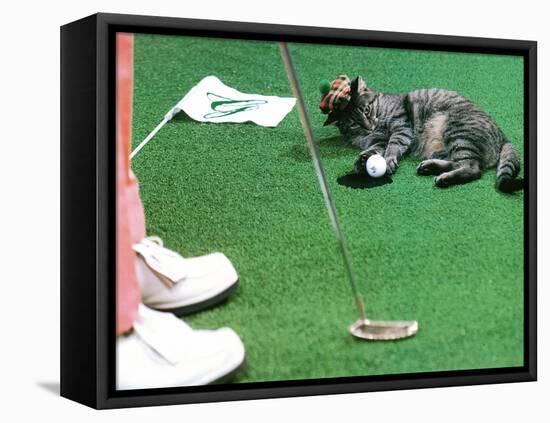 Hole in One-null-Framed Premier Image Canvas