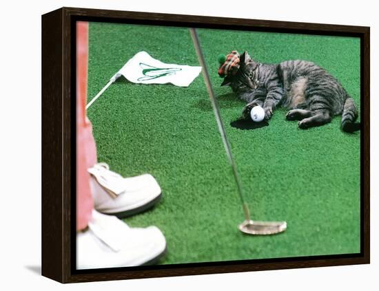 Hole in One-null-Framed Premier Image Canvas