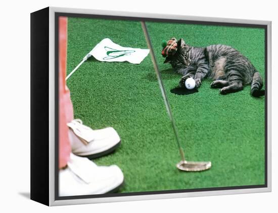 Hole in One-null-Framed Premier Image Canvas