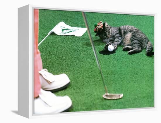 Hole in One-null-Framed Premier Image Canvas