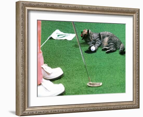 Hole in One-null-Framed Photographic Print