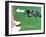 Hole in One-null-Framed Photographic Print