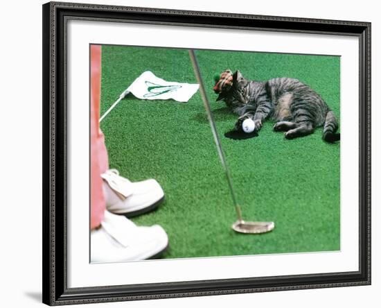 Hole in One--Framed Photographic Print