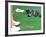 Hole in One-null-Framed Photographic Print