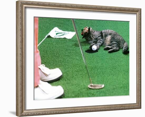 Hole in One-null-Framed Photographic Print