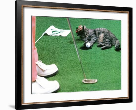 Hole in One-null-Framed Photographic Print