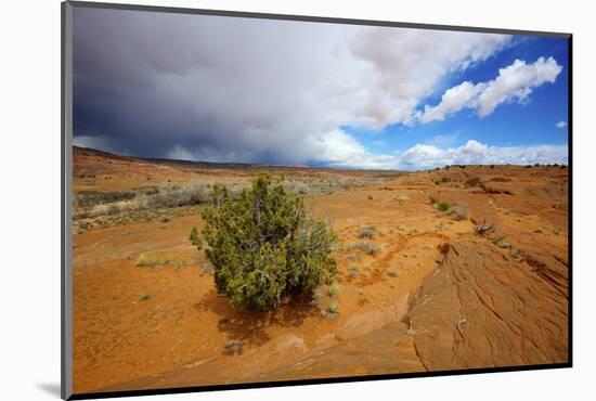 Hole in the Rock Road Near Escalante Utah Offers Many Scenic Spots-Richard Wright-Mounted Photographic Print