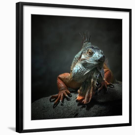 Photographic Print, , large