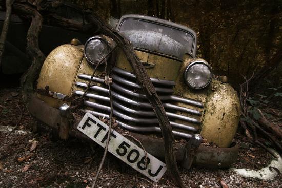 Photographic Print, , large
