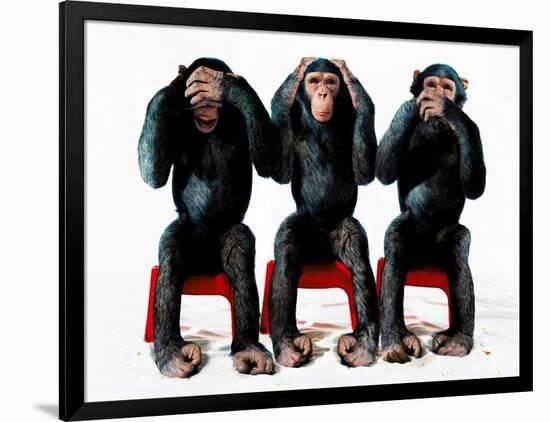Photographic Print, , large
