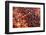 Holi Celebration in Dauji Temple, Dauji, Uttar Pradesh, India, Asia-Godong-Framed Photographic Print