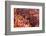 Holi Celebration in Dauji Temple, Dauji, Uttar Pradesh, India, Asia-Godong-Framed Photographic Print