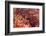 Holi Celebration in Dauji Temple, Dauji, Uttar Pradesh, India, Asia-Godong-Framed Photographic Print