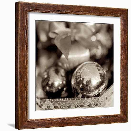 Holiday #3-Alan Blaustein-Framed Photographic Print