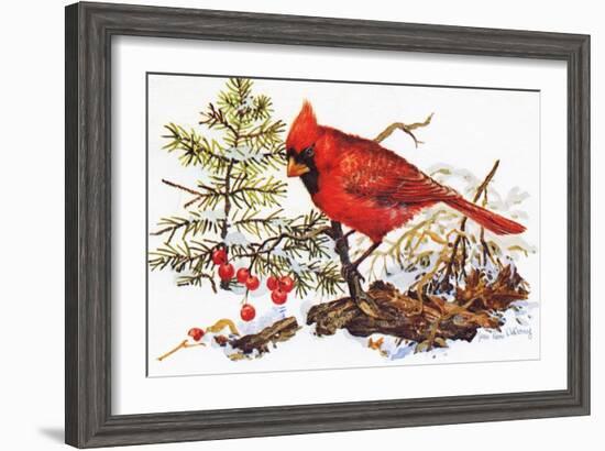 Holiday Christmas Cardinal, Beatrice Litzinger Collection-null-Framed Art Print