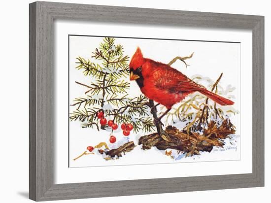 Holiday Christmas Cardinal, Beatrice Litzinger Collection-null-Framed Art Print