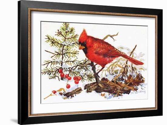 Holiday Christmas Cardinal, Beatrice Litzinger Collection--Framed Art Print