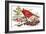 Holiday Christmas Cardinal, Beatrice Litzinger Collection-null-Framed Art Print