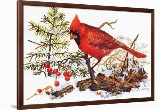 Holiday Christmas Cardinal, Beatrice Litzinger Collection-null-Framed Art Print